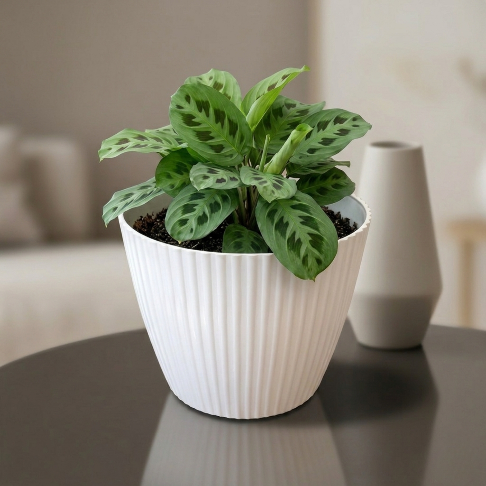 Vertical Line Classic Pot