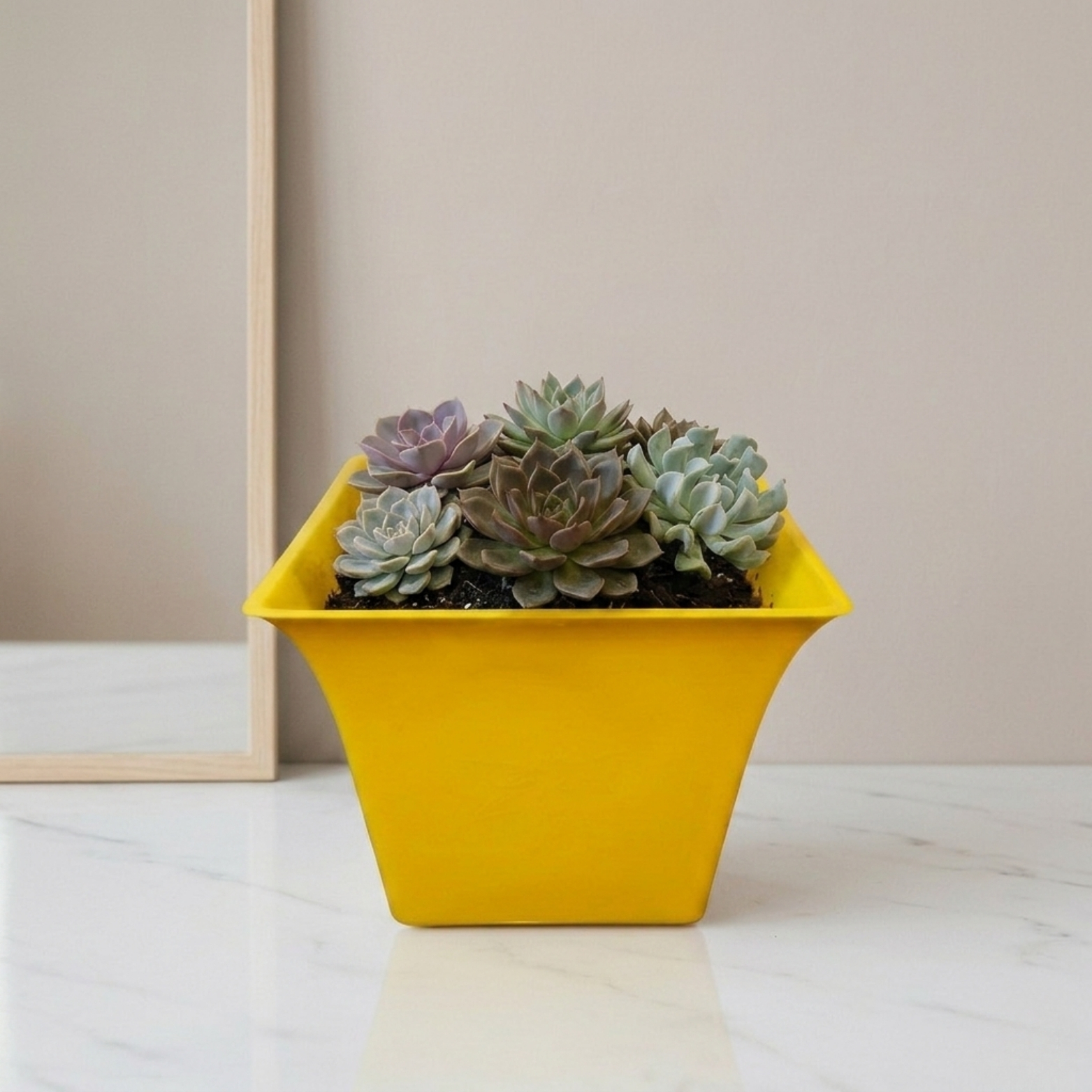 Square Flare Designer Pot