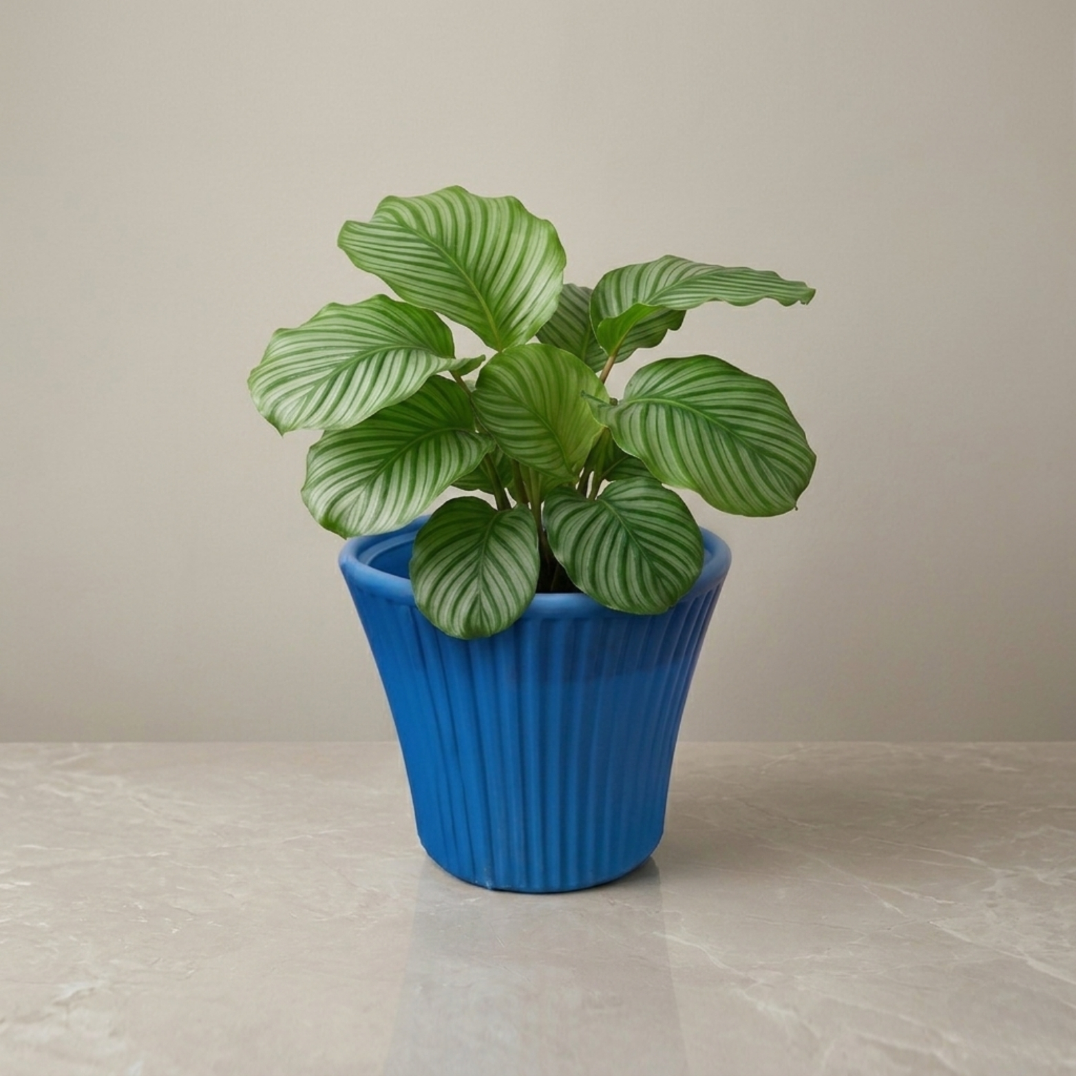 Ribbed Round Planter Pot