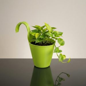 Hanging Handle Pot