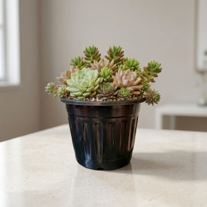 Classic Black Nursery Pot 