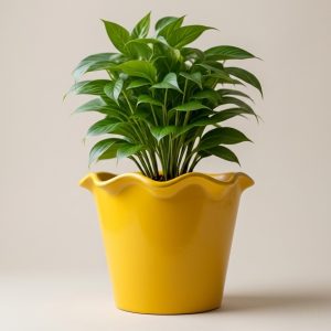 Wavy Edge Designer Pot