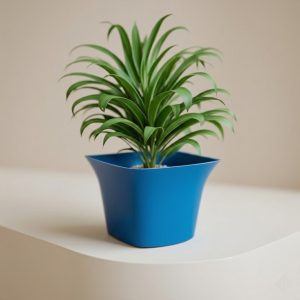 Square Flare Designer Pot
