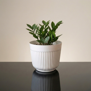 Fluted White Pot 