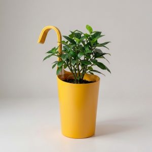 Hanging Handle Pot