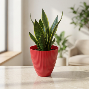 Vertical Line Classic Pot